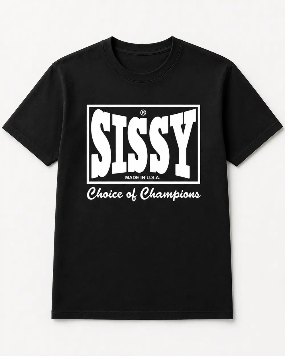 Stone Gossard — Sissy